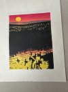 IMG_8354.jpeg