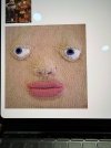 IMG_1296.jpeg IMG_1296.jpeg